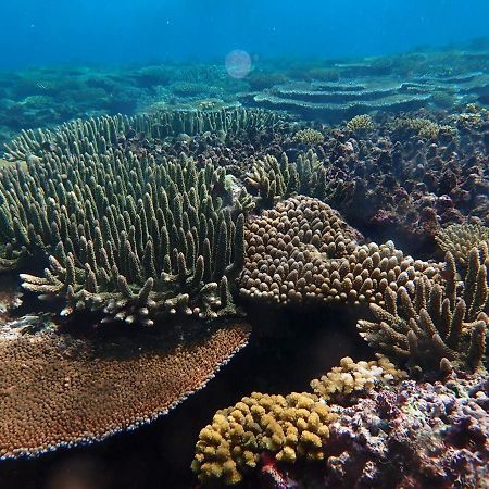 Fiji Lodge Vosa Ni Ua サブサブ エクステリア 写真