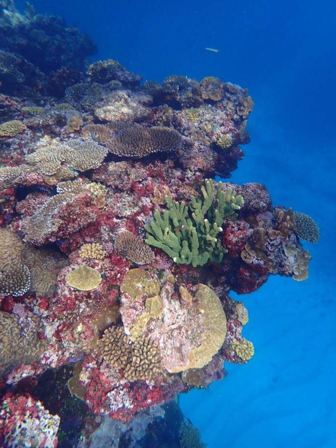 Fiji Lodge Vosa Ni Ua サブサブ エクステリア 写真