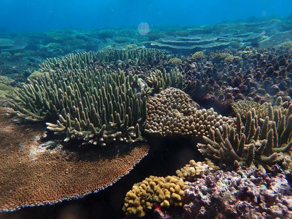 Fiji Lodge Vosa Ni Ua サブサブ エクステリア 写真